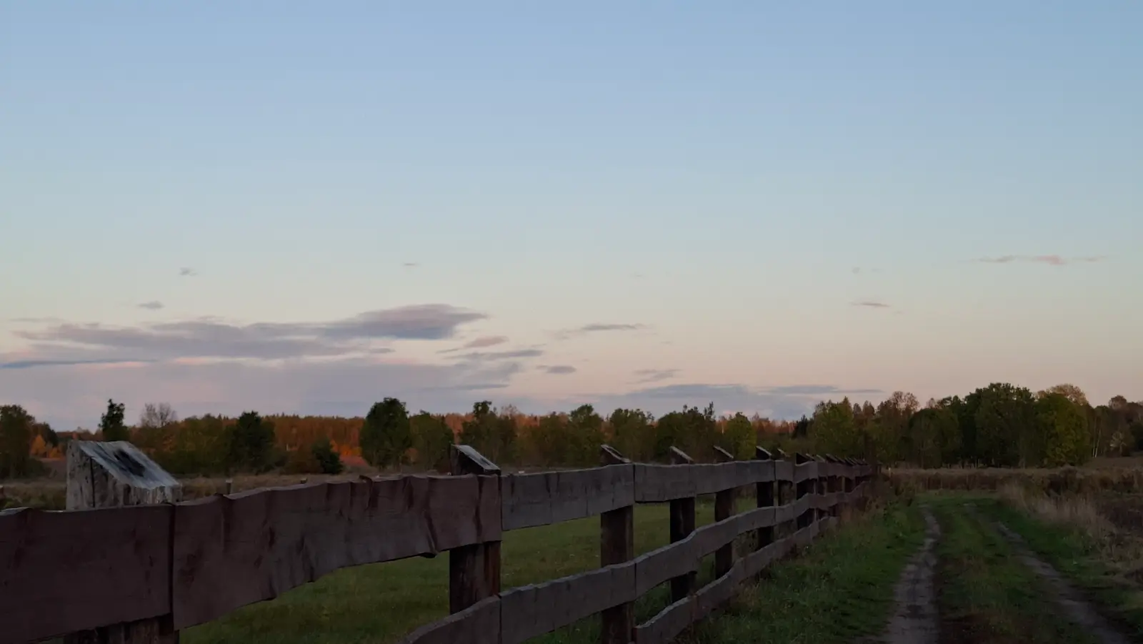 Zdjęcie przedstawia sielski krajobraz wiejski w formacie poziomym, w którym dominującym elementem jest drewniany płot biegnący wzdłuż piaszczystej ścieżki. Płot dzieli kompozycję na dwie części, prowadząc wzrok widza w stronę linii lasu znajdującej się na horyzoncie. Niebo nad polami jest utrzymane w delikatnych pastelowych odcieniach różu i błękitu, co sugeruje czas tuż po zachodzie lub przed wschodem słońca. Naturalne oświetlenie rzuca miękkie światło na drzewa, podkreślając ich jesienne barwy. Całość scenerii emanuje spokojem i rustykalnym klimatem, idealnie oddając naturę wiejskiej przestrzeni.