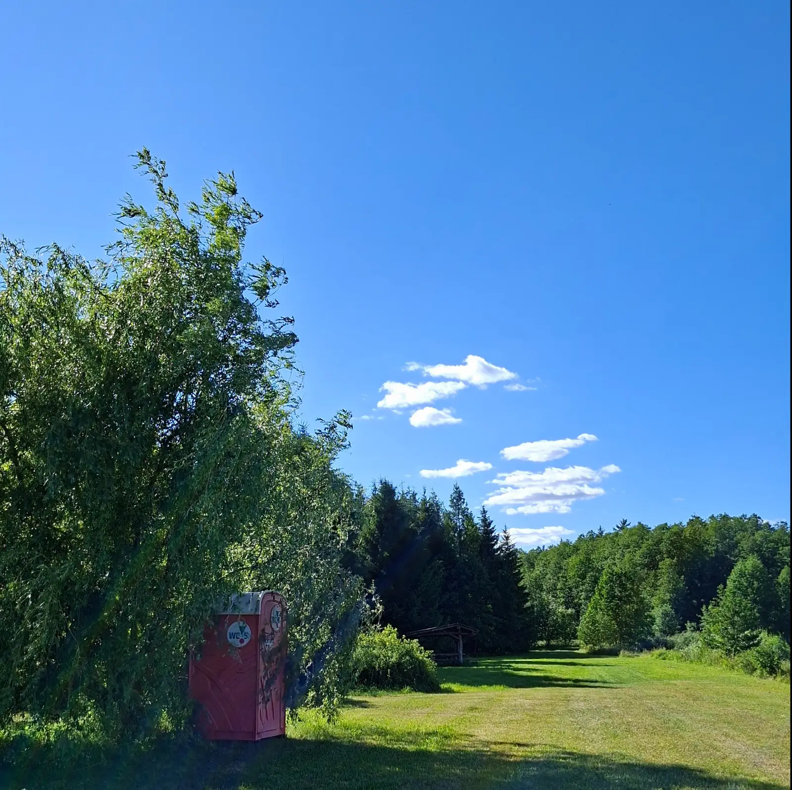 Zdjęcie w formacie kwadratowym przedstawia spokojny, wiejski krajobraz w słoneczny dzień z bezchmurnym, błękitnym niebem. Po lewej stronie kadru dominuje wysokie, gęste drzewo, pod którym stoi czerwona przenośna toaleta typu toi-toi z widocznym logo „WC-S”. W tle rozciąga się zielona polana, która w oddali przechodzi w gęsty las iglasty i liściasty. W centralnej części obrazu, na skraju lasu, można dostrzec niewielką, drewnianą wiatę ogrodową. Całość kompozycji charakteryzuje się dużą ilością wolnej przestrzeni niebieskiego nieba, zajmującego niemal połowę wysokości zdjęcia.