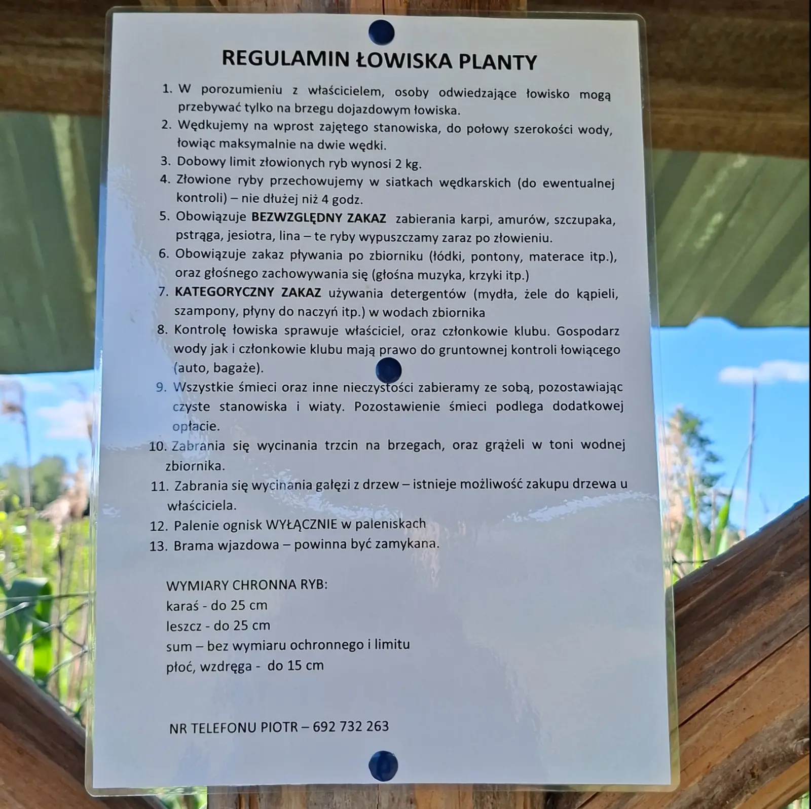 Zdjęcie przedstawia pionowo zorientowaną tablicę z regulaminem łowiska wędkarskiego, umieszczoną na drewnianej konstrukcji w otoczeniu przyrody. Dokument jest zalaminowany i przymocowany niebieskimi pinezkami, a jego treść jest czytelna na jasnym tle. Nagłówek dokumentu brzmi „REGULAMIN ŁOWISKA PLANTY”. Poniżej znajduje się 13 punktów szczegółowych zasad dotyczących wędkowania, m.in.: 1. W porozumieniu z właścicielem, osoby odwiedzające łowisko mogą przebywać tylko na brzegu dojazdowym łowiska. 2. Wędkujemy na wprost zajętego stanowiska, do połowy szerokości wody, łowiąc maksymalnie na dwie wędki. 3. Dobowy limit złowionych ryb wynosi 2 kg. 4. Złowione ryby przechowujemy w siatkach wędkarskich (do ewentualnej kontroli) – nie dłużej niż 4 godz. 5. Obowiązuje BEZWZGLĘDNY ZAKAZ zabierania karpi, amurów, szczupaka, pstrąga, jesiotra, lina – te ryby wypuszczamy zaraz po złowieniu. 6. Obowiązuje zakaz pływania po zbiorniku (łódki, pontony, materace itp.), oraz głośnego zachowywania się (głośna muzyka, krzyki itp.). 7. KATEGORYCZNY ZAKAZ używania detergentów (mydła, żele do kąpieli, szampony, płyny do naczyń itp.) w wodach zbiornika. 8. Kontrolę łowiska sprawuje właściciel, oraz członkowie klubu. Gospodarz wody jak i członkowie klubu mają prawo do gruntownej kontroli łowiącego (auto, bagaże). 9. Wszystkie śmieci oraz inne nieczystości zabieramy ze sobą, pozostawiając czyste stanowiska i wiaty. Pozostawienie śmieci podlega dodatkowej opłacie. 10. Zabrania się wycinania trzcin na brzegach, oraz grążeli w toni wodnej zbiornika. 11. Zabrania się wycinania gałęzi z drzew – istnieje możliwość zakupu drzewa u właściciela. 12. Palenie ognisk WYŁĄCZNIE w paleniskach. 13. Brama wjazdowa – powinna być zamykana. Pod punktami znajduje się sekcja „WYMIARY CHRONNA RYB”: karaś - do 25 cm, leszcz - do 25 cm, sum - bez wymiaru ochronnego i limitu, płoć, wzdręga - do 15 cm. Na dole widnieje napis: NR TELEFONU PIOTR – 692 732 263. Całość utrzymana jest w jasnej, przejrzystej kolorystyce, a w tle widać fragmenty drzew i niebieskie niebo.